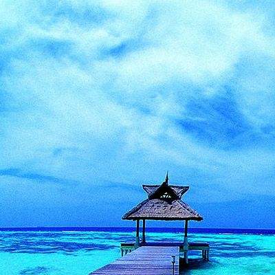 风云体育官方APP